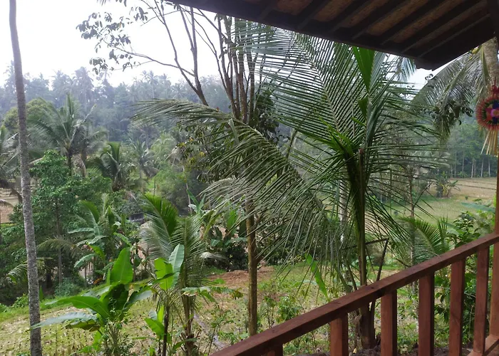 Cabin D Bendul And Warung
