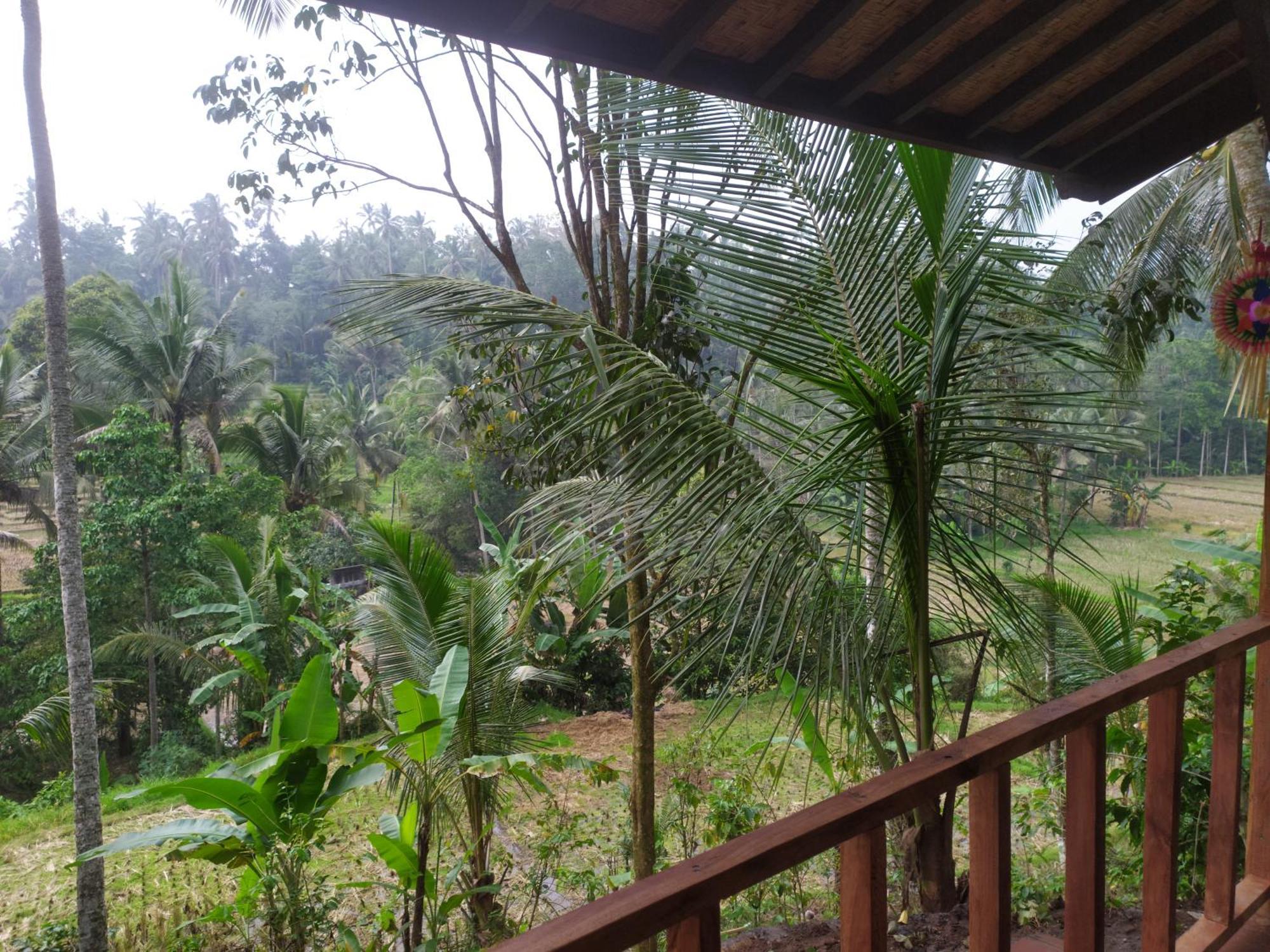 D Bendul And Warung Selemadeg